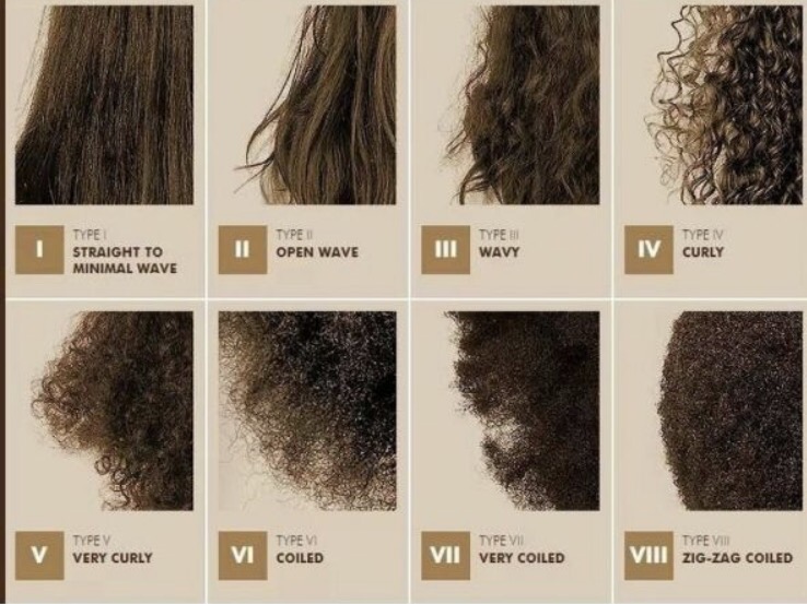 Hair growth rates at different body locations (mean ± SE) collected... |  Download Scientific Diagram